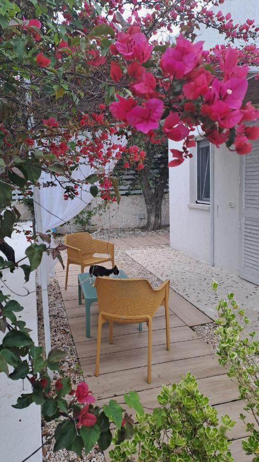 Ferienhaus Casrienn
